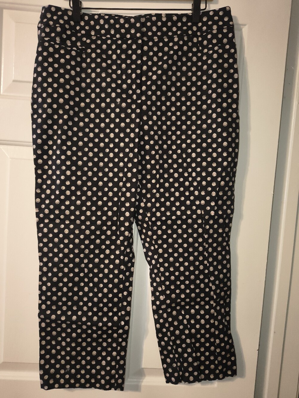 Ann Taylor Factory polka dot pants, size 12.